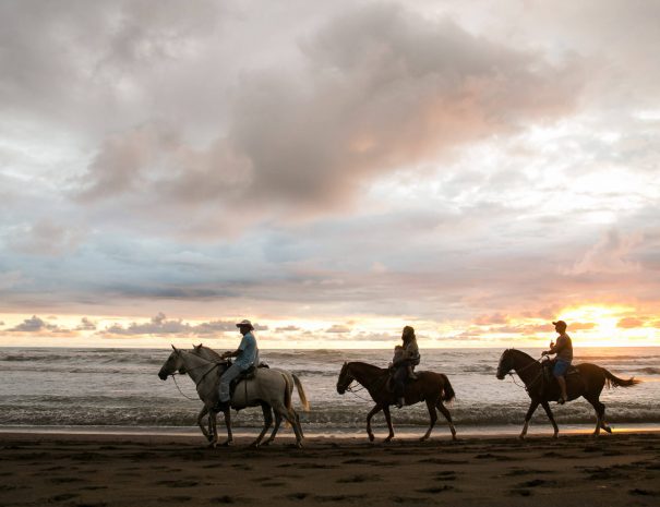 Horseback riding at Samara beach