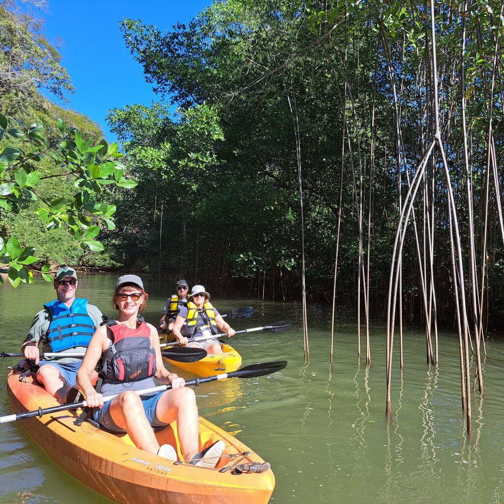 Mangrove Kayak photo 5