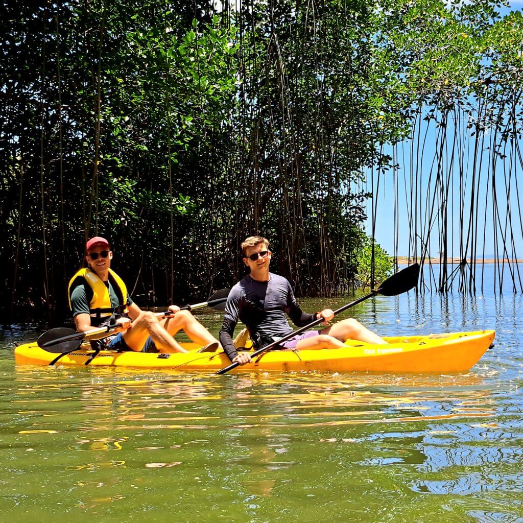 Mangrove Kayak photo 2