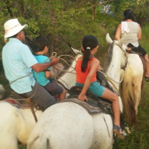 Horseback Riding Tour in Sámara photo 6