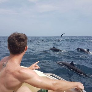 Dolphin Watching Tour photo 5