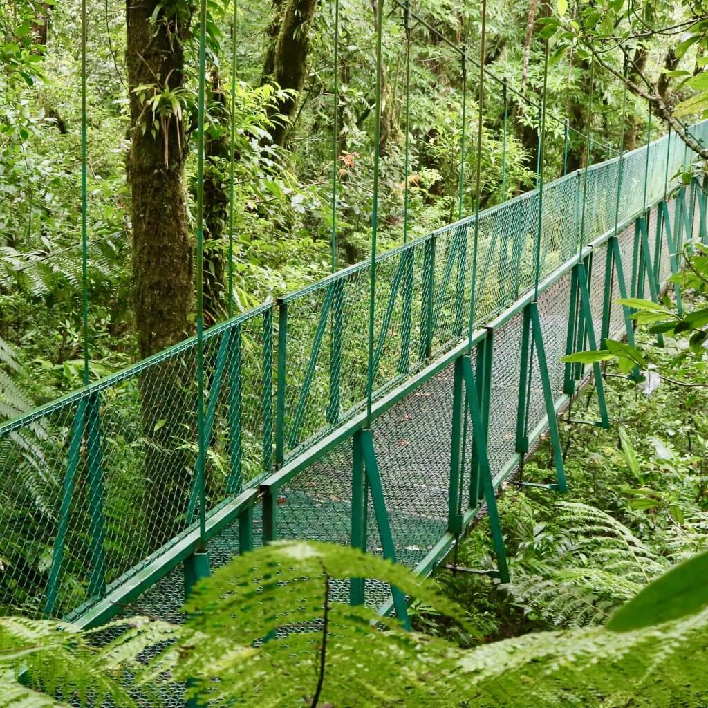 Monteverde Adventure Day photo 4