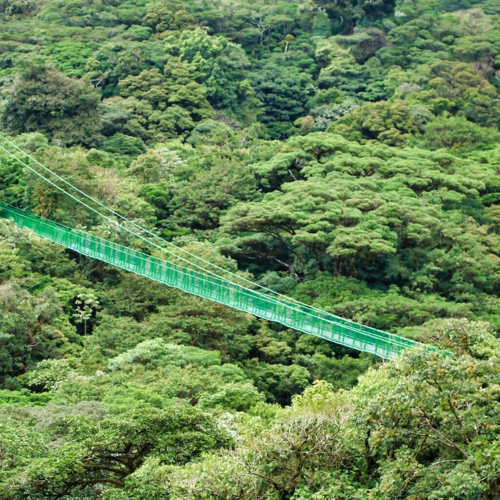 Monteverde Adventure Day photo 6