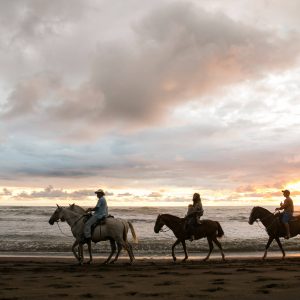 Horseback Riding Tour in Sámara photo 4