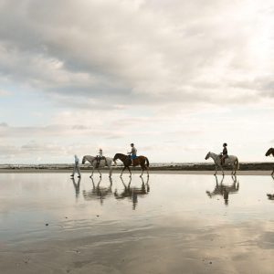 Horseback Riding Tour in Sámara photo 2