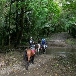 Horseback Riding Tour in Puerto Carrillo photo 1