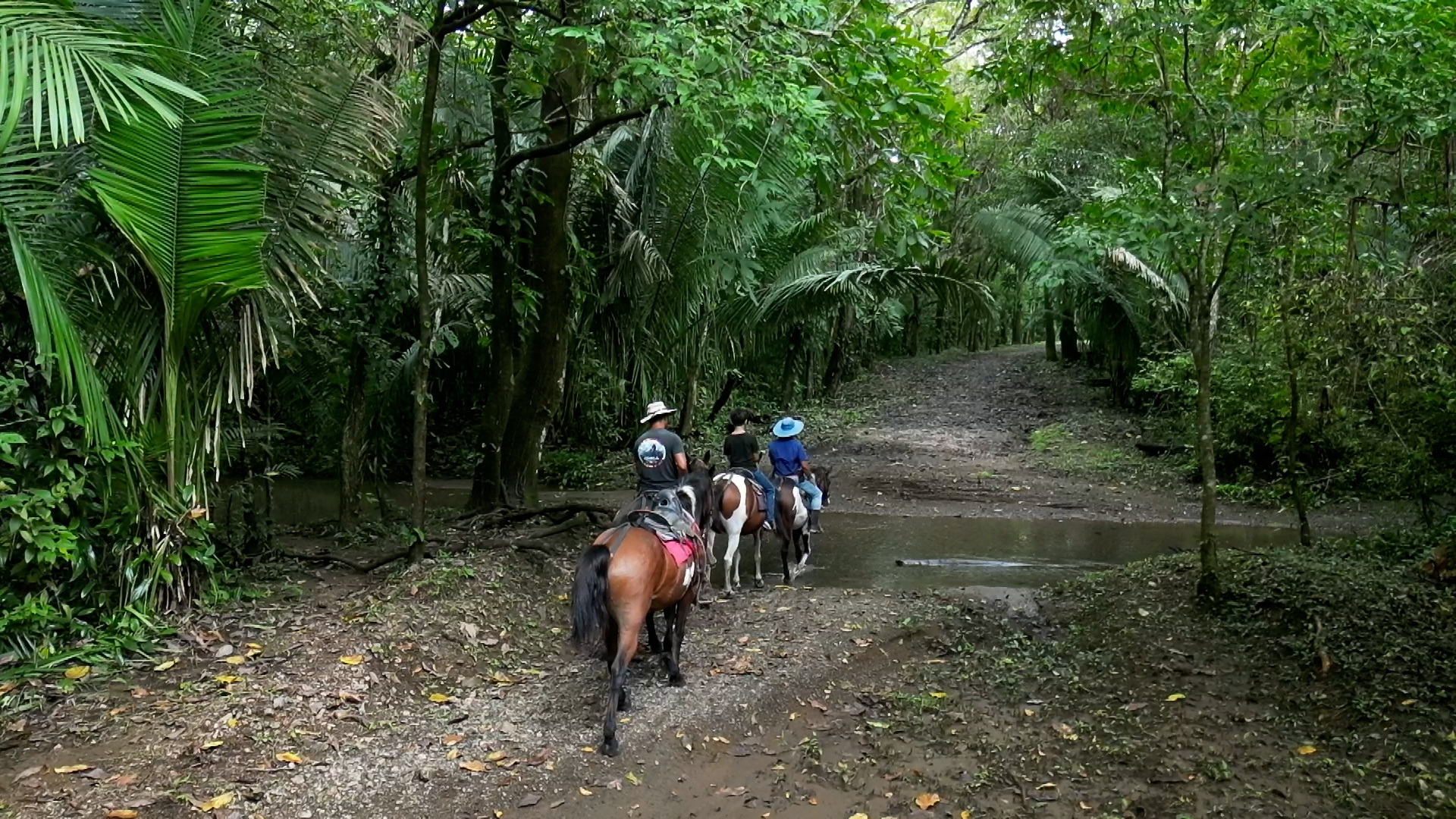 Horseback Riding Tour in Puerto Carrillo