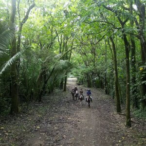 Horseback Riding Tour in Puerto Carrillo photo 2