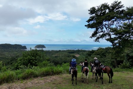Horseback Riding Tour in Puerto Carrillo
