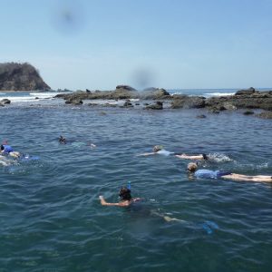 Dolphin Watching Tour photo 4