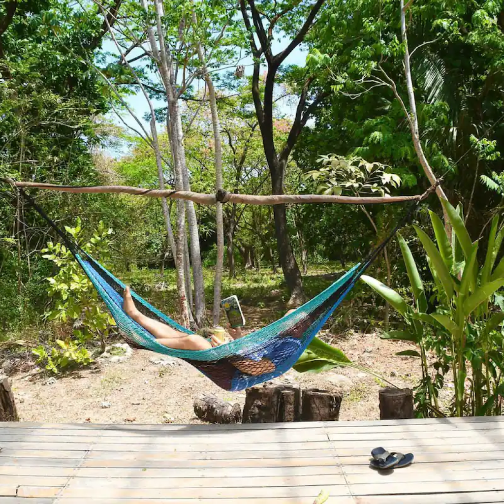 Chez Pizote, a lovely eco-friendly container — 5