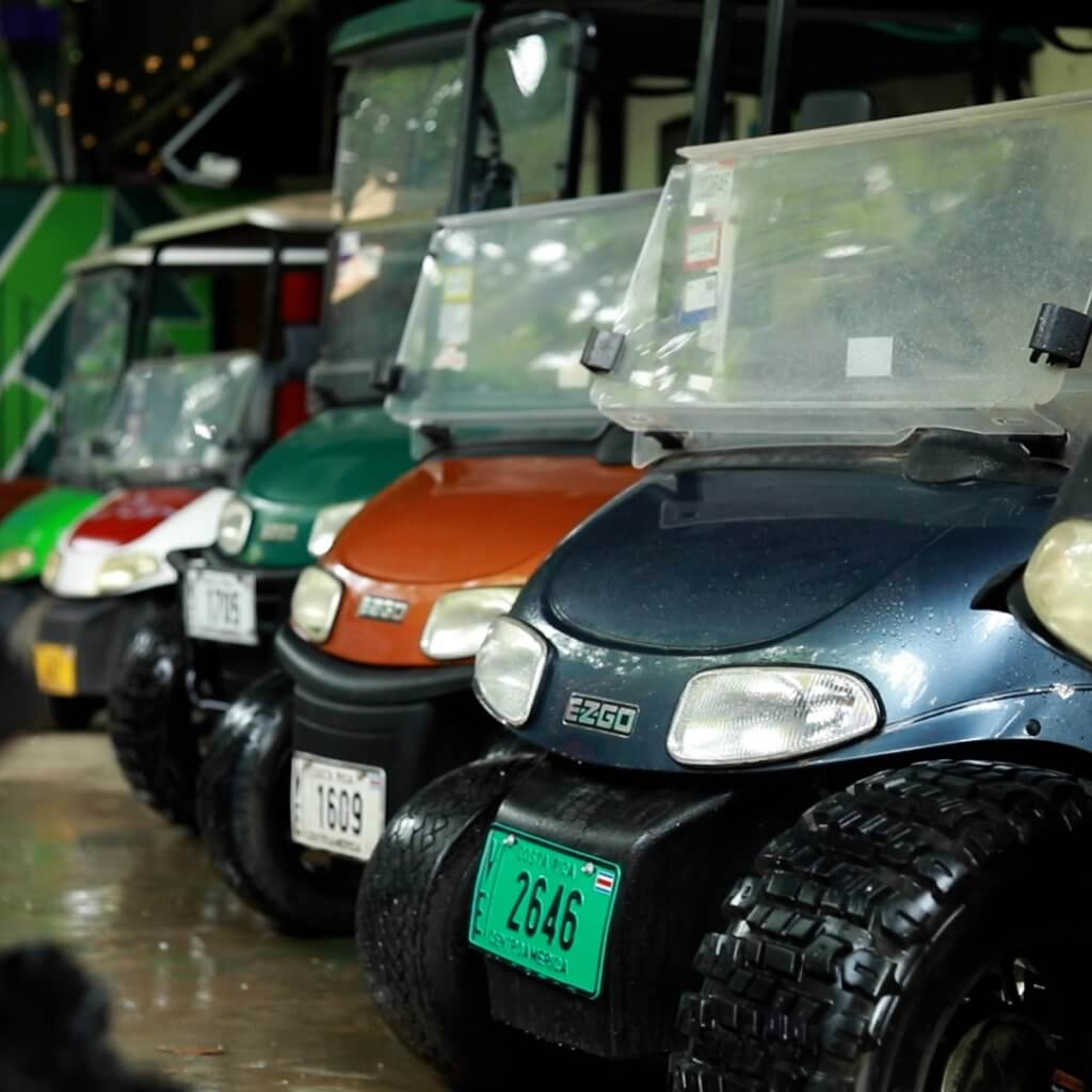 Golf Cart Rental