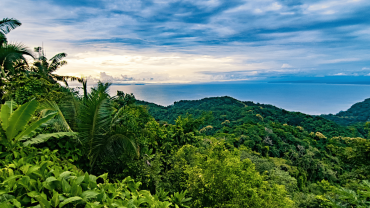 How Much Does A Trip To Costa Rica Cost