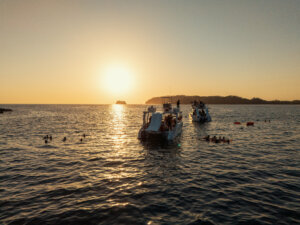 Sunset Cruise Catamaran photo 2