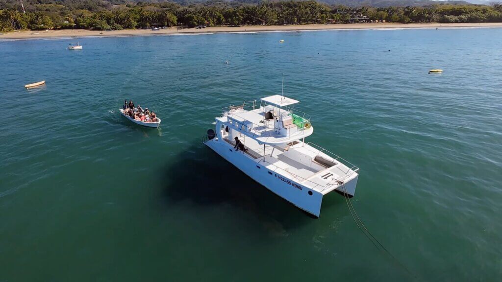 Dolphin & Snorkeling Catamaran Tour photo 2