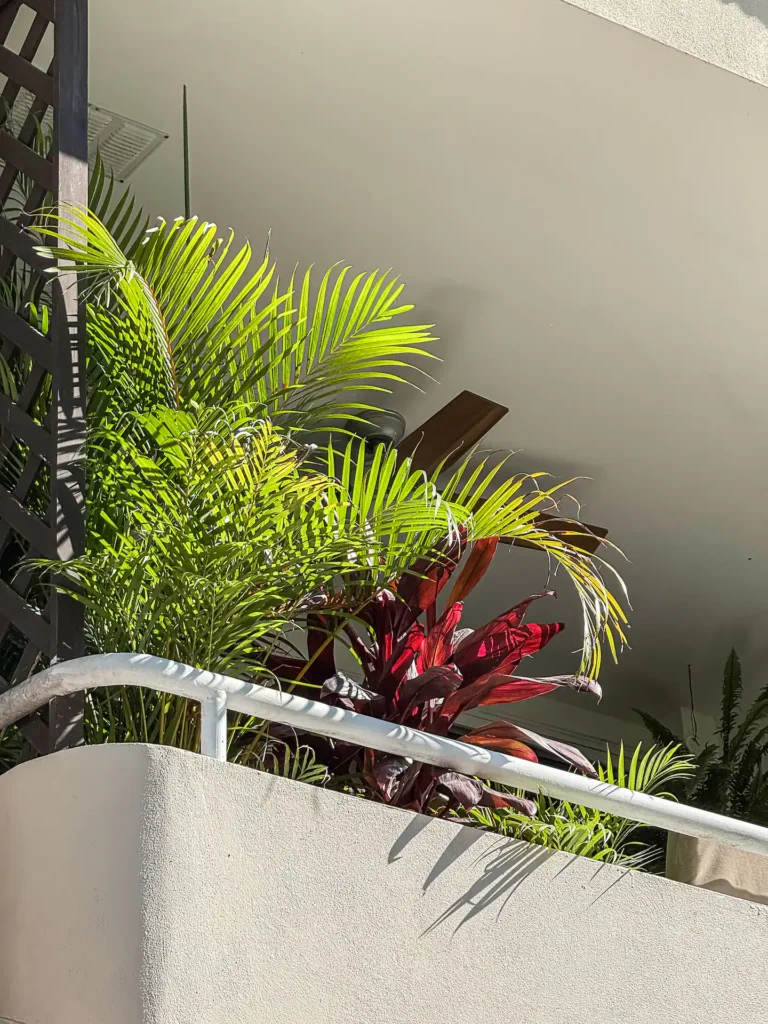 Tropical Jungle Retreat Condo | Walk to beaches — 36