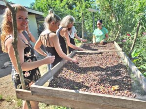 Coffee Tour Day Trip – Let’s Get Local! photo 4