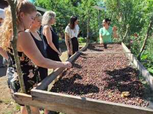 Coffee Tour Day Trip – Let’s Get Local! photo 5