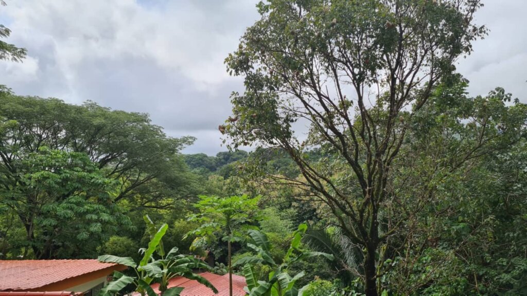 Finca Lucky: Mahagoni House