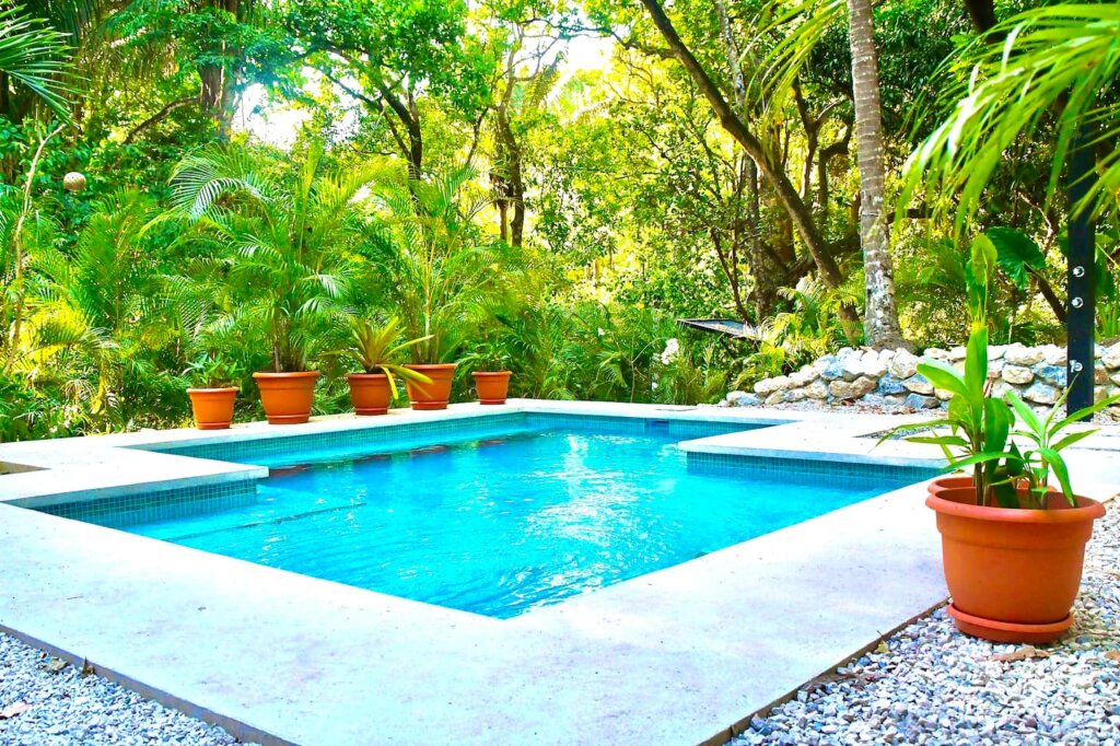 Welcome to Jingle Jangle Jungle – Casa Derecha