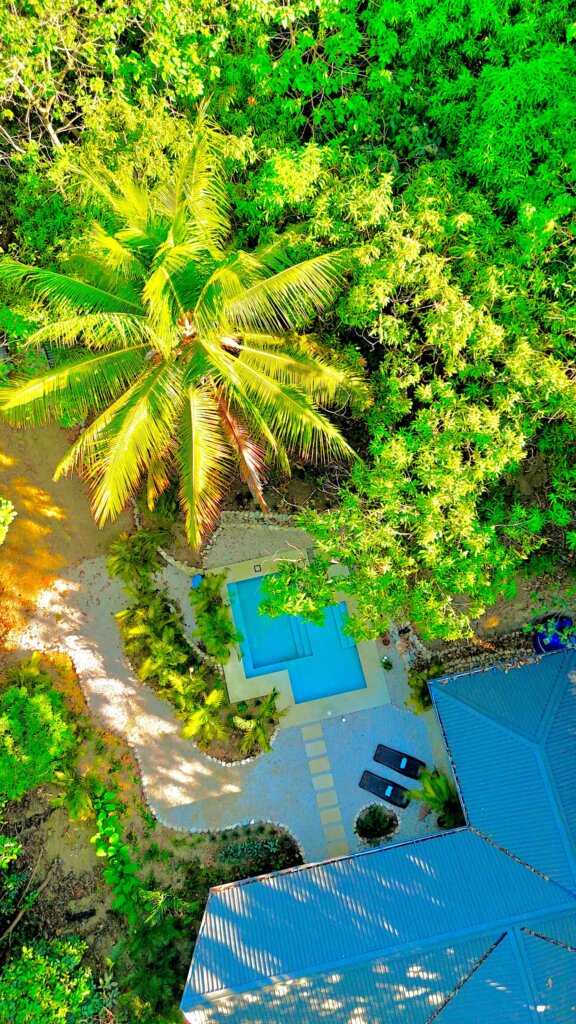 Welcome to Jingle Jangle Jungle – Casa Derecha